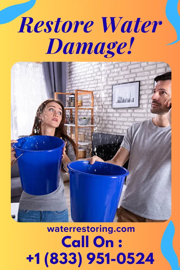 water restoration Prestige Water Damage Inc Buford